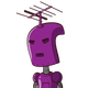 guest
