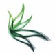 Ryn Avatar