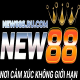 New88srucom1