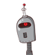 guest