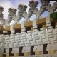 TheMiningMonster