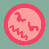simolive