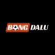 Avatar for Bongdalu VIP