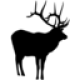 asdnice