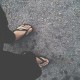 runawayno1