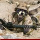RoudyRaccoon