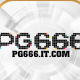 PG66