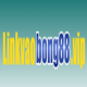 Avatar for LINK VÀO BÓNG88