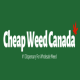 Avatar for Cheap Weed Canada