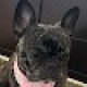 Benutzerprofilbild