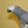 charles huff's Avatar