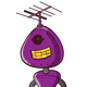 guest
