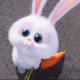 Hồng baby