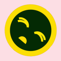 netsurfr