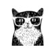 Picture of admin