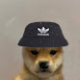 jandroalex55
