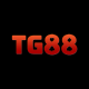tg88altorg