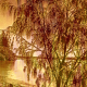 JudeAU