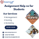 Avatar for Seo Two