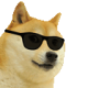 b3zrad0sci