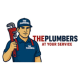 The Plumbers