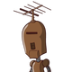 guest