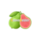 GuavaDealer