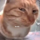 CALISKAN