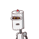 guest