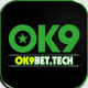 Ok9bettech