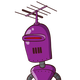 guest