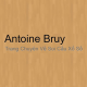 Avatar for Antoine Bruy