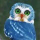WEBPBPROOT