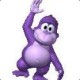 bonzibobby
