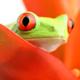 Ralph Broenink's avatar
