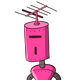 guest