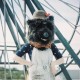 Nellie Avatar