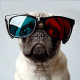 frank Avatar