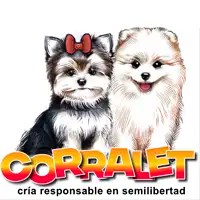 Avatar de adm_calfsurjq