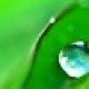 comment-avatar