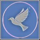 User avatar for fromgoatstosoapsgreydove