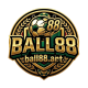 ball88art
