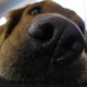 bdahl's picture