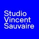 Vincent Sauvaire Avatar
