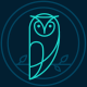 aGrumpyOwl