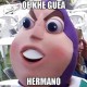 Adamo
