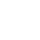 Vega X Team