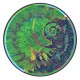 Eco-Social Research and Dialogue