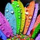 liveacolourfullife.wordpress.com