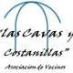 Asociación Vecinos Cavas La Latina